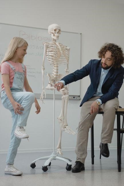 label the skeleton worksheet pdf
